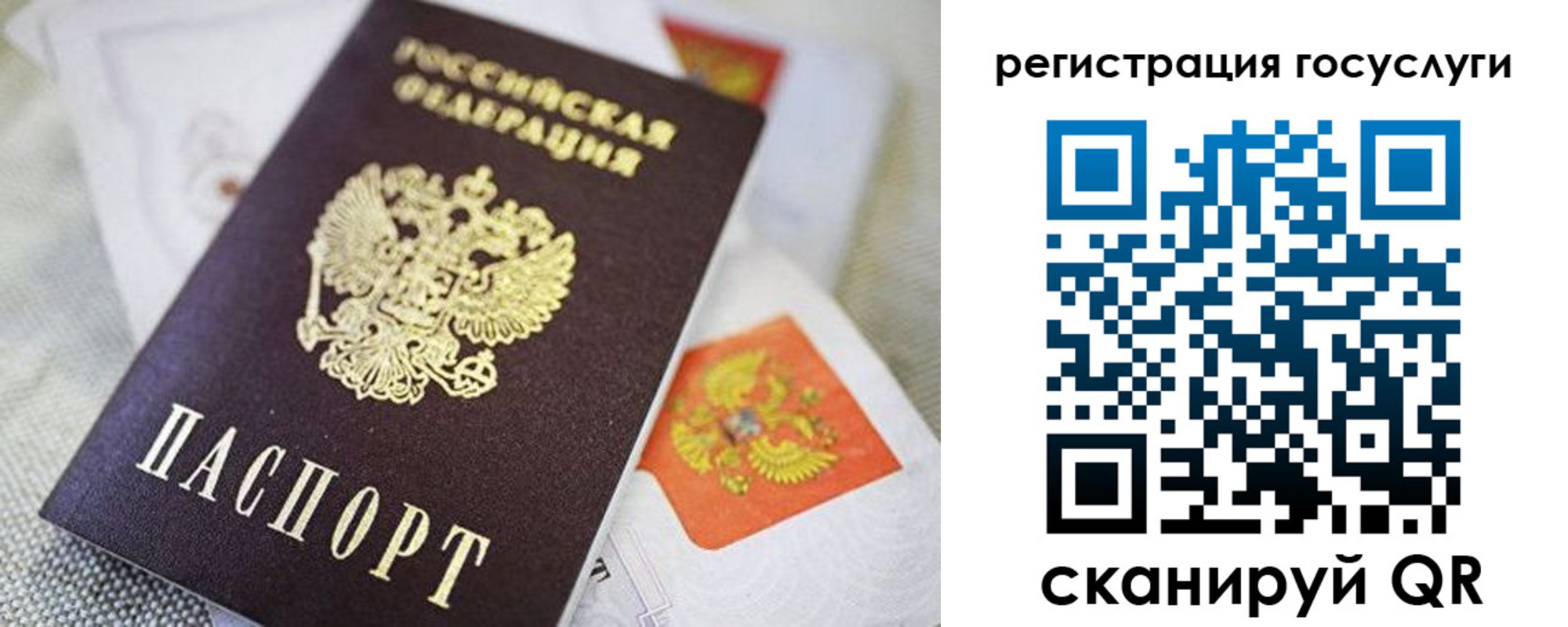 прописка паспорт в Белгородской области
